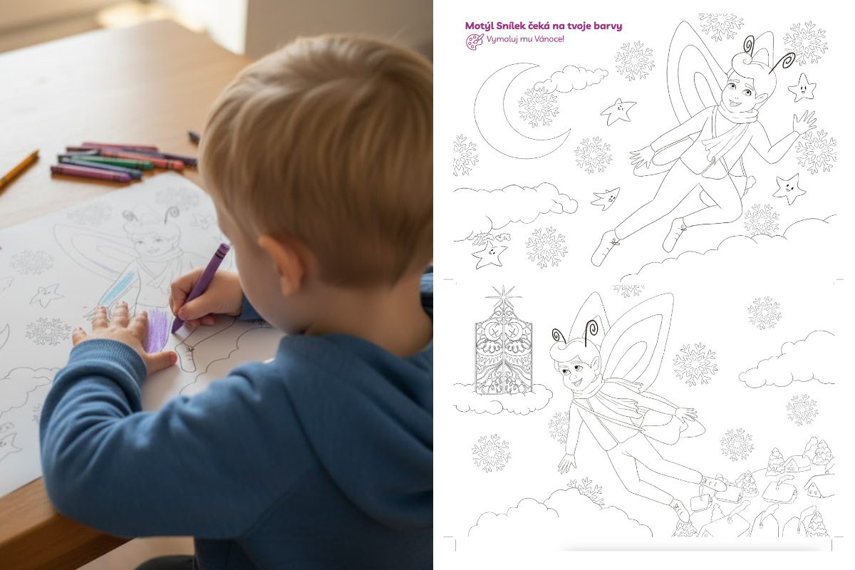 Příspěvky do blogu a NL_1